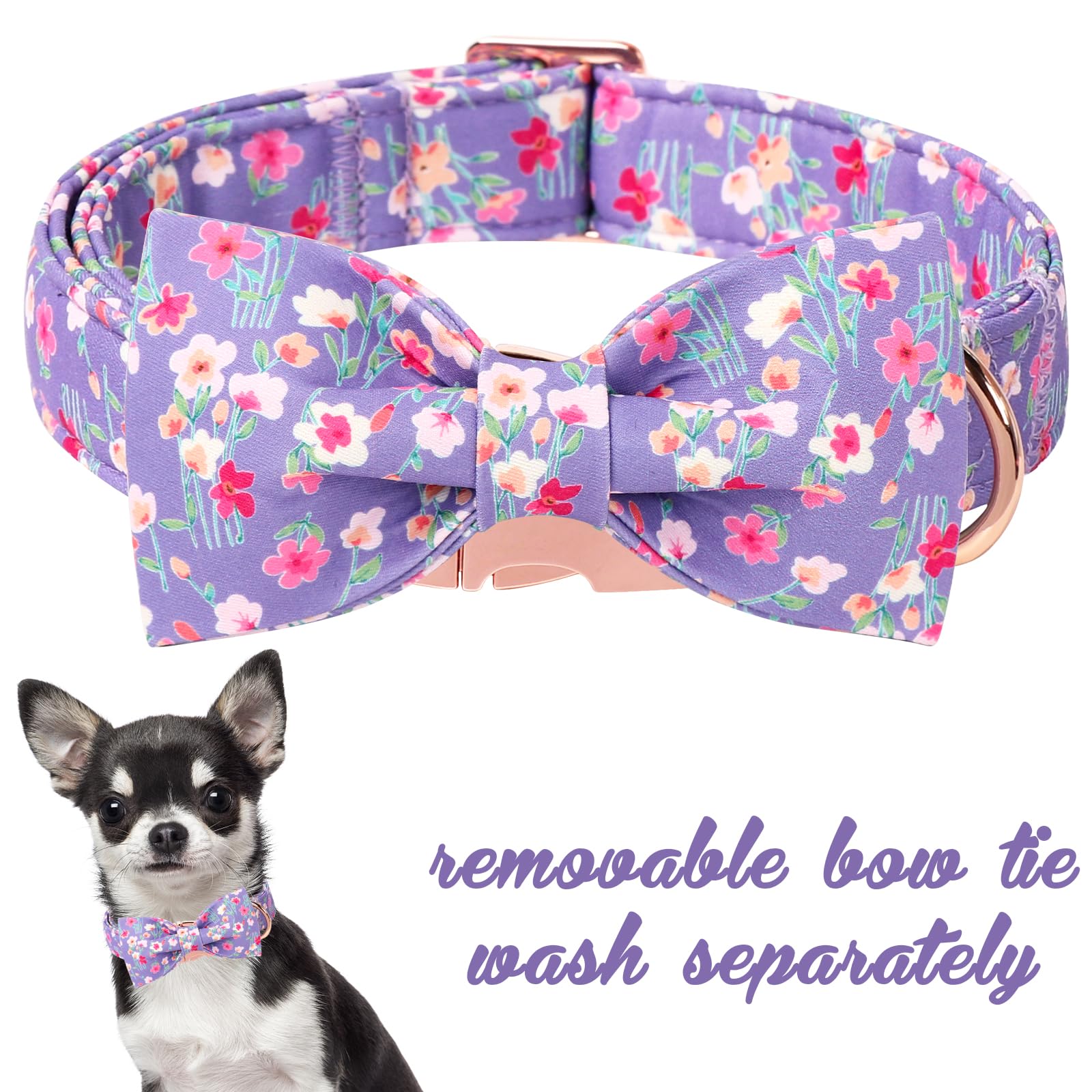 Unique Style Paws collar con lazo desmontable para personalizar