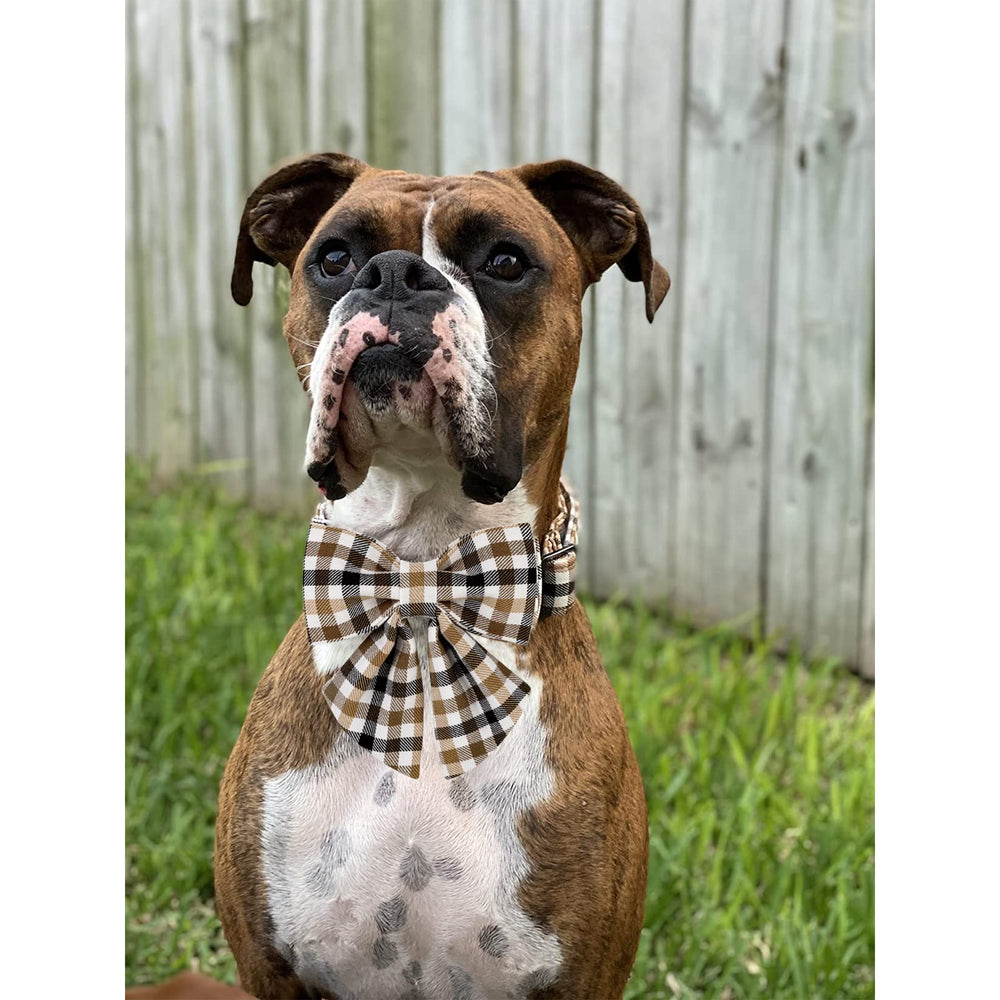 Unique style paws collar perro material algodon suave, piel amiga y uso cómodo