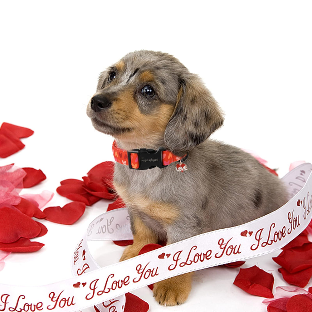 Unique Style Paws collar con colgante de amor, toque elegante para ocasiones.