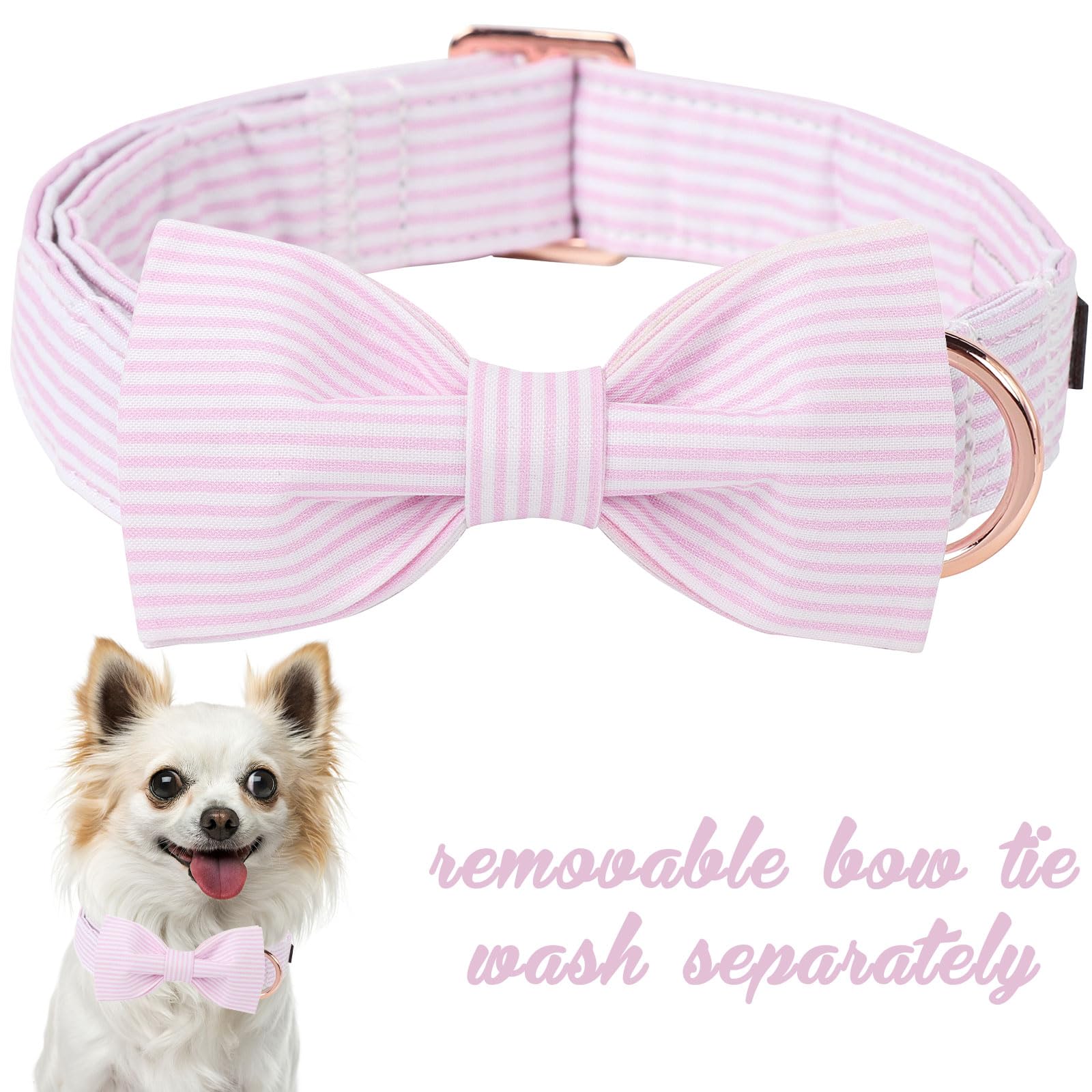 Unique style paws collar rosa ajustable, seguro durante paseos.