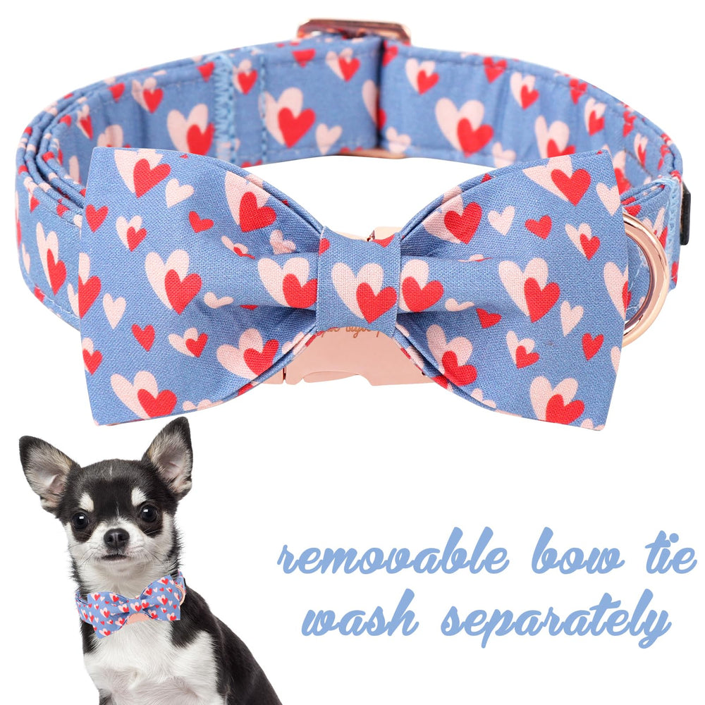 Unique style paws collar azul con lazo removible: ideal para fiestas y paseos