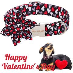 Lazo/flor desmontable para personalizar el aspecto de tu perro.