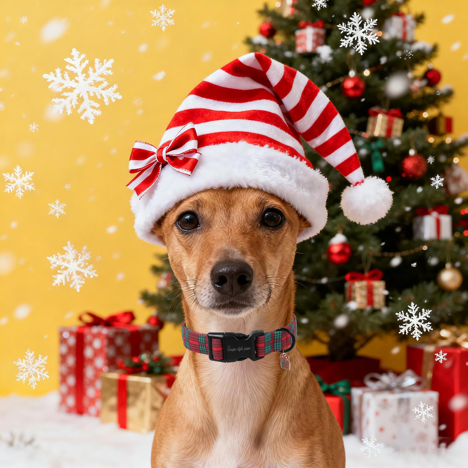 Uso interior y exterior del collar navideño Unique Style Paws