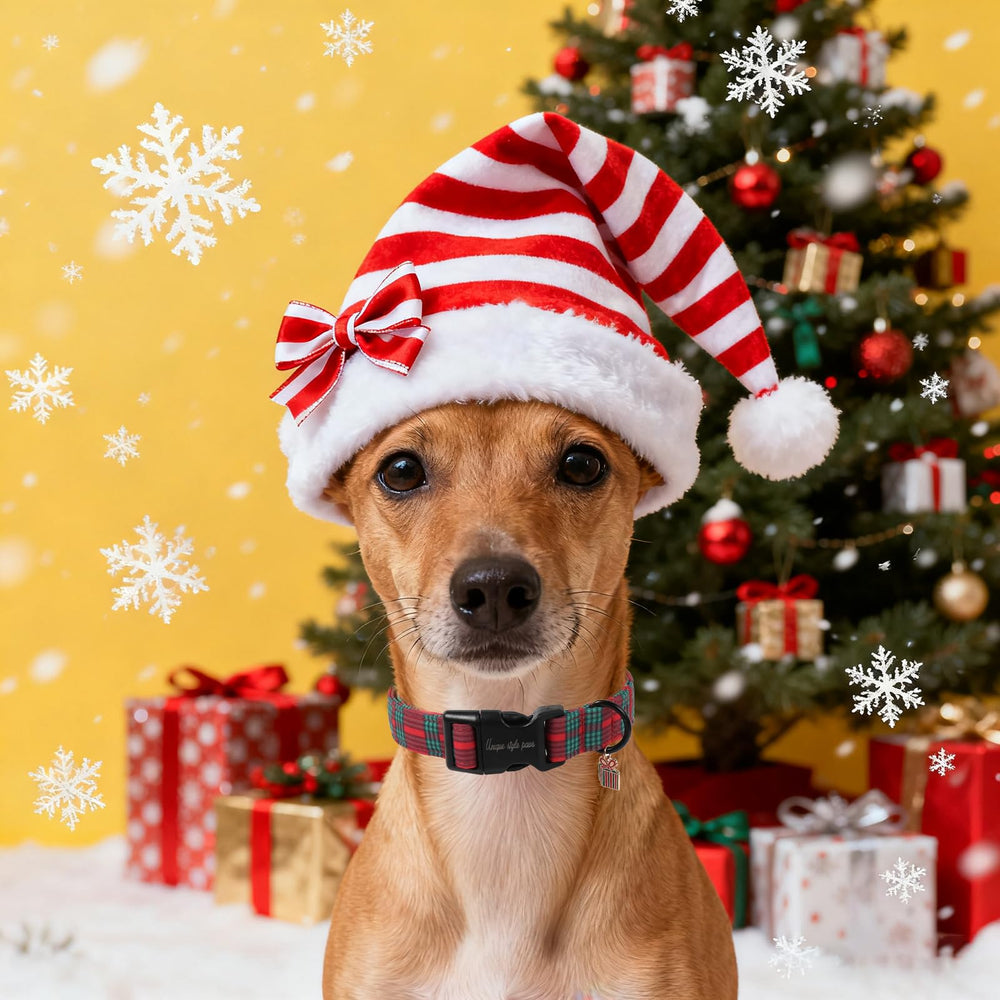 Uso interior y exterior del collar navideño Unique Style Paws