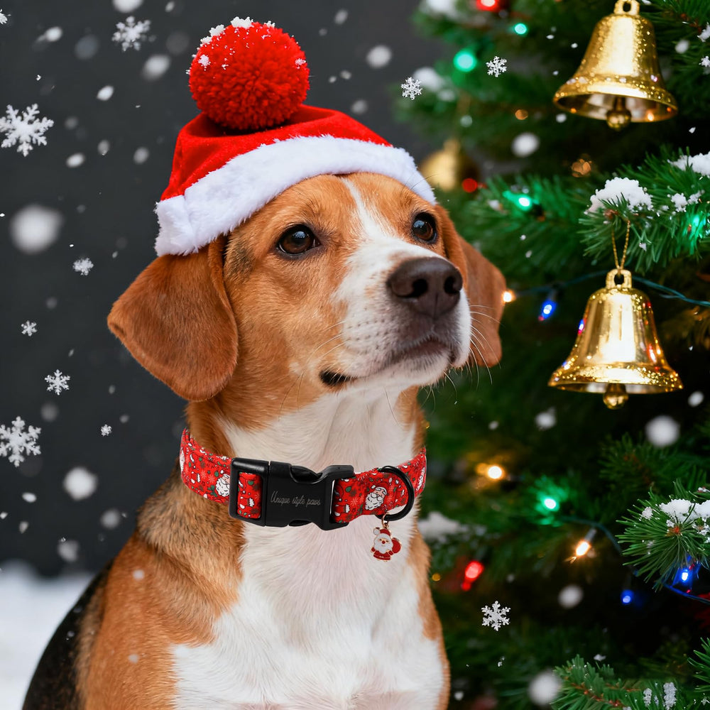 Unique Style Paws collar para interiores y exteriores, ideal para festividades.