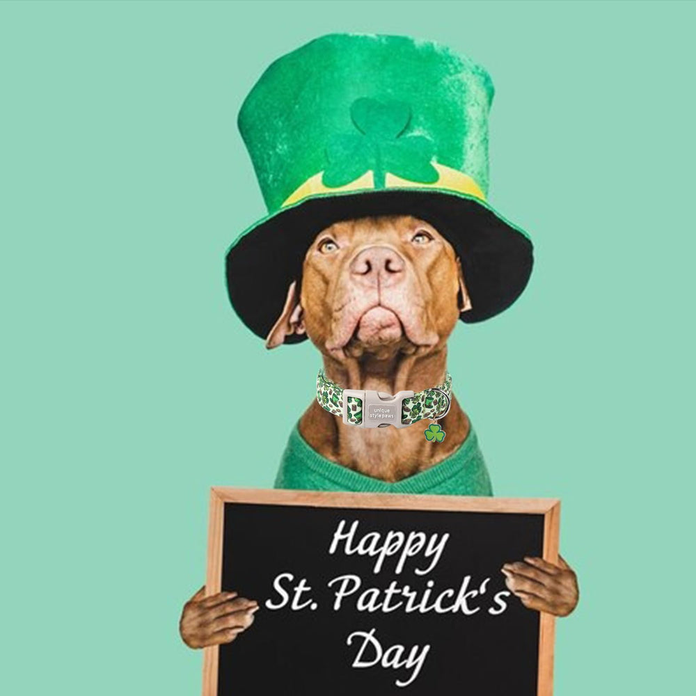 Unique Style Paws diseño del Día de San Patricio para fiestas y eventos.