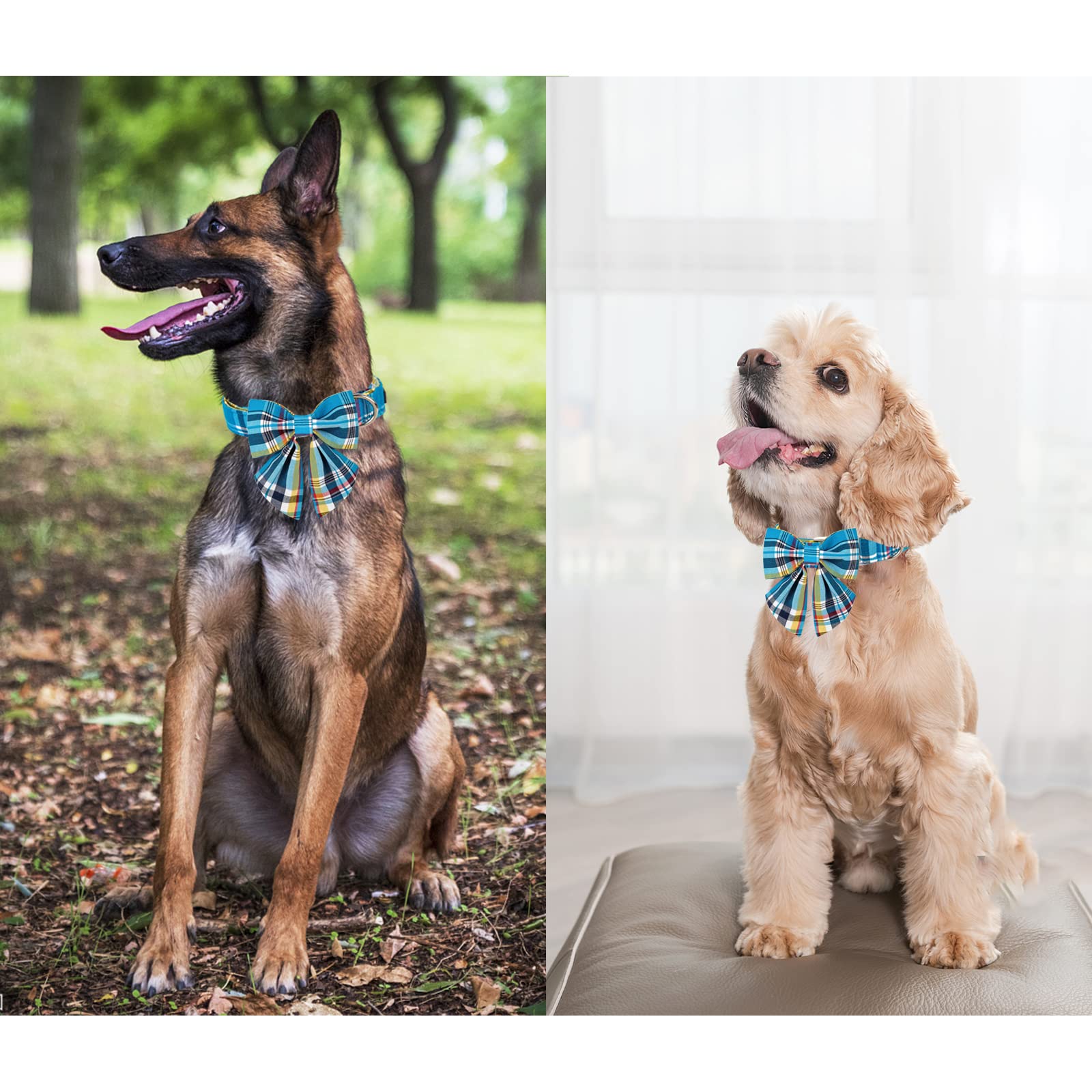 Unique style paws diseño con patas en collar navideño