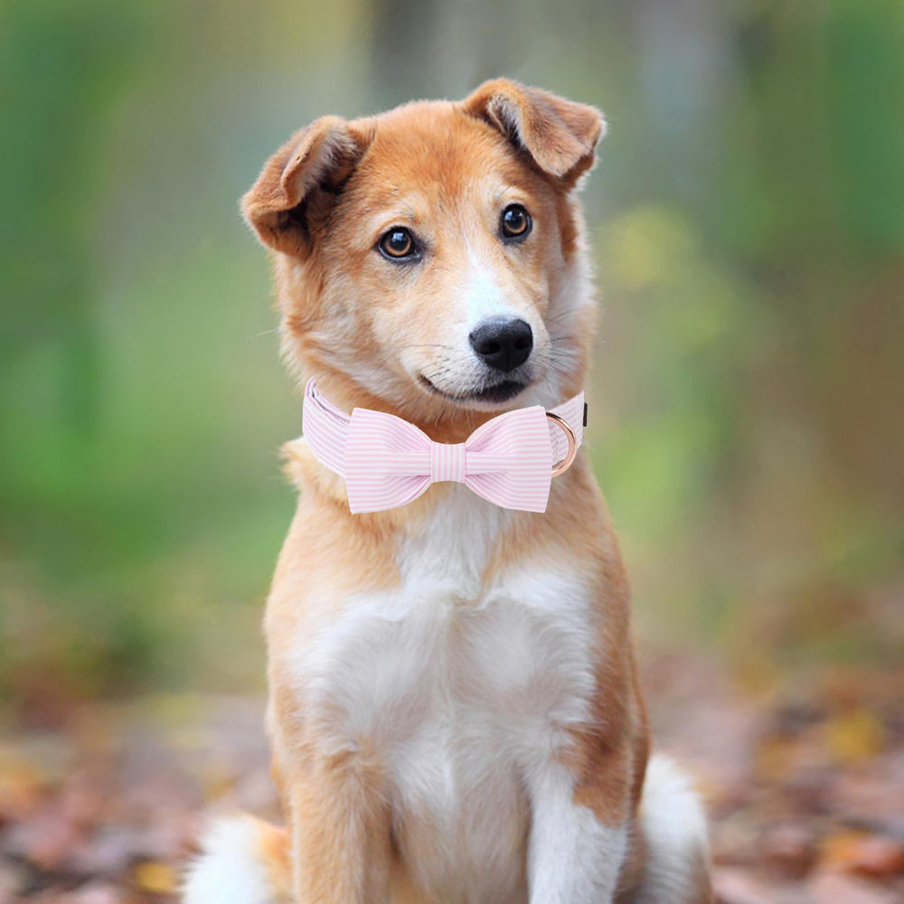Unique Style Paws spring pink collar with bow—adjustable comfort.