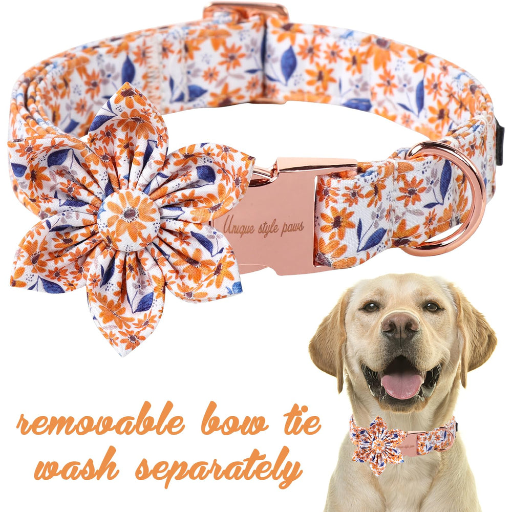 Unique Style Paws collar con ajuste para tallas XS a XL