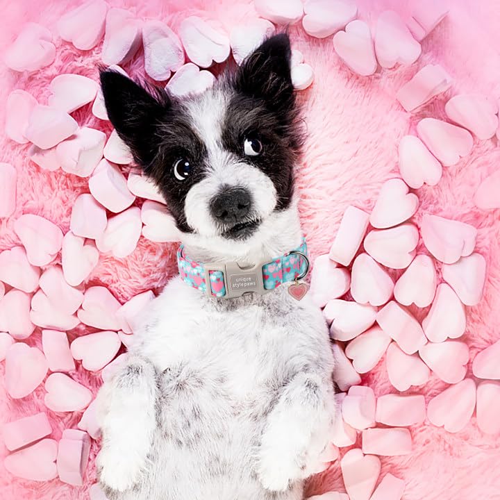 Unique Style Paws ajuste fácil en tallas XS a XL.