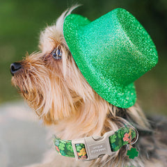 Unique Style Paws collar ajustable para perros de distintos tamaños