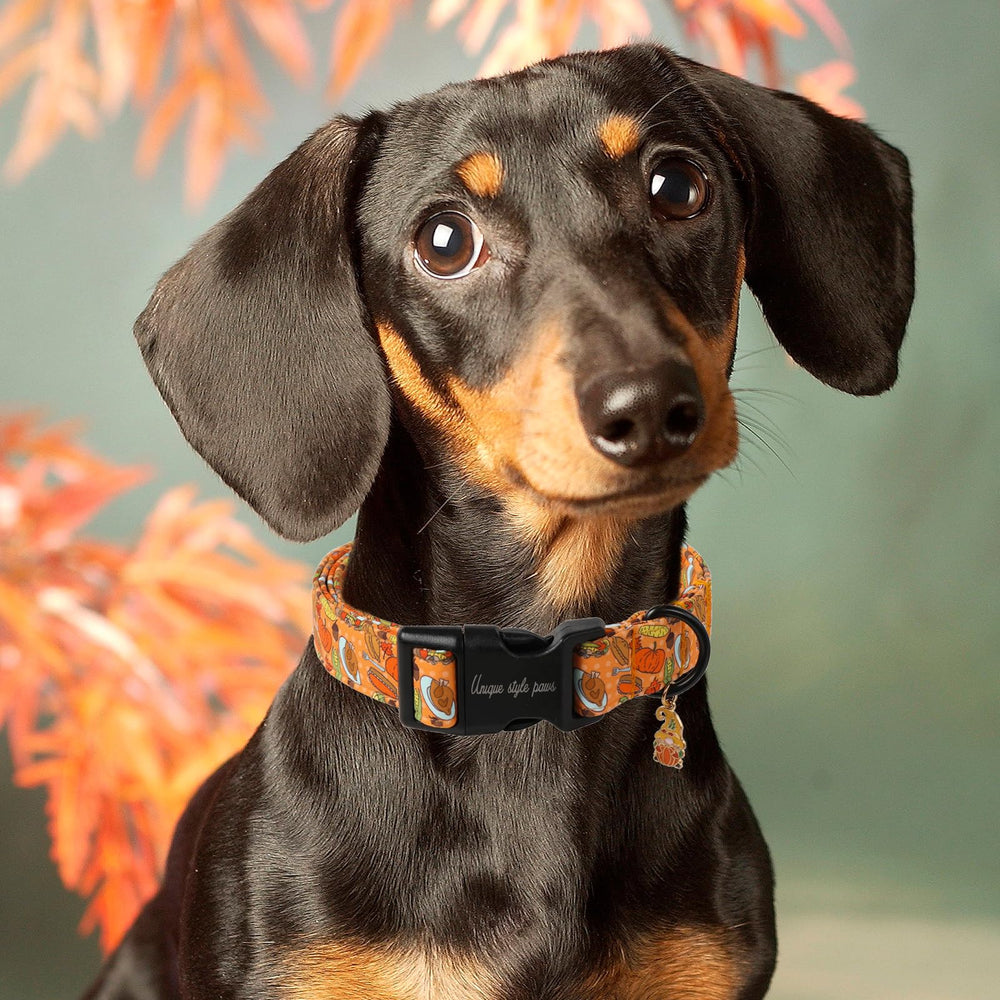 Unique Style Paws collar con hebilla plástica ligera y segura.