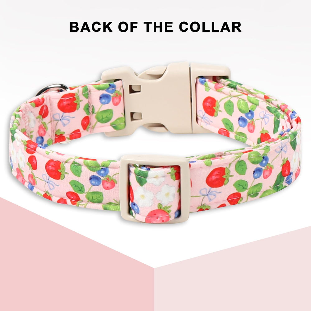 Unique Style Paws collar rosa fresa ligero, ideal para paseos diarios.