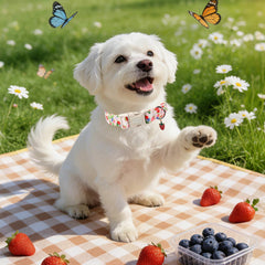 Unique Style Paws guía de talla facilita escoger el ajuste perfecto.
