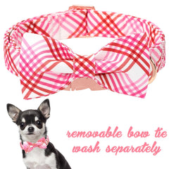 Lazo cosido a mano en collar Unique Style Paws para un toque único.