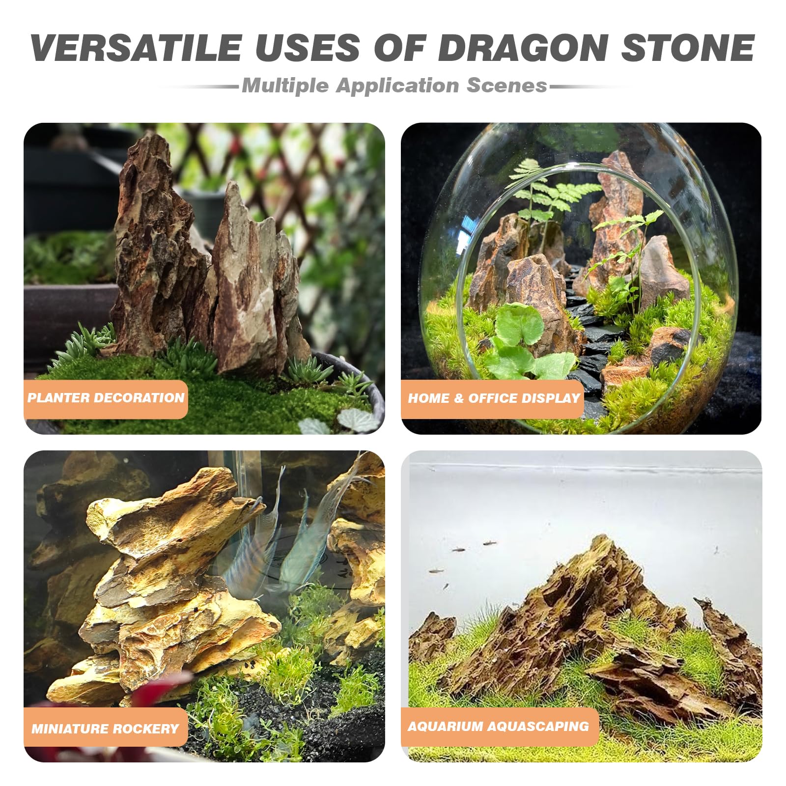Rocas dragón Unocho para cuevas y montañas en acuario.