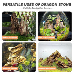 Piedras Unocho dragón Seiryu ideales para terrarios y acuarios con hábitat natural.