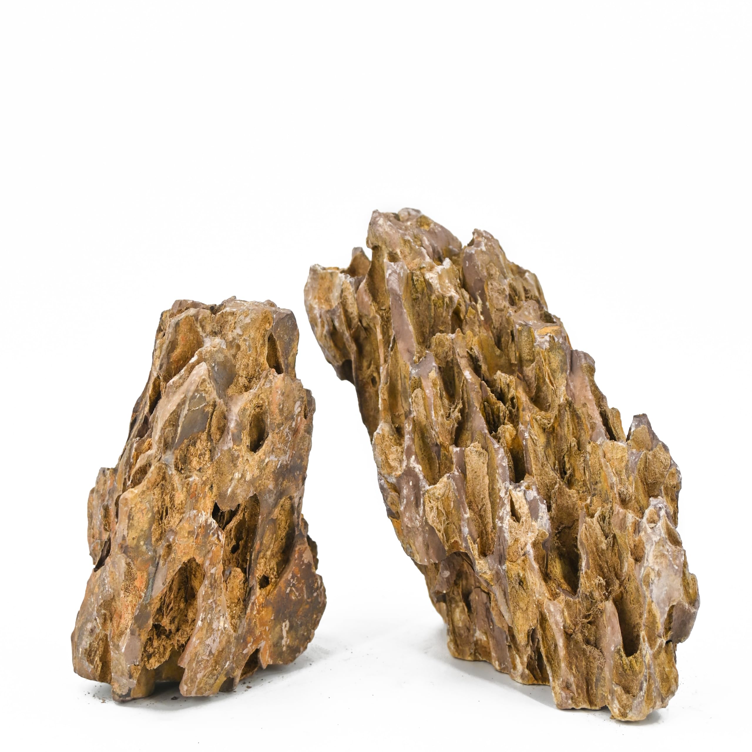 Piedra Unocho dragón Seiryu para decoración, refugio y hábitat seguro.