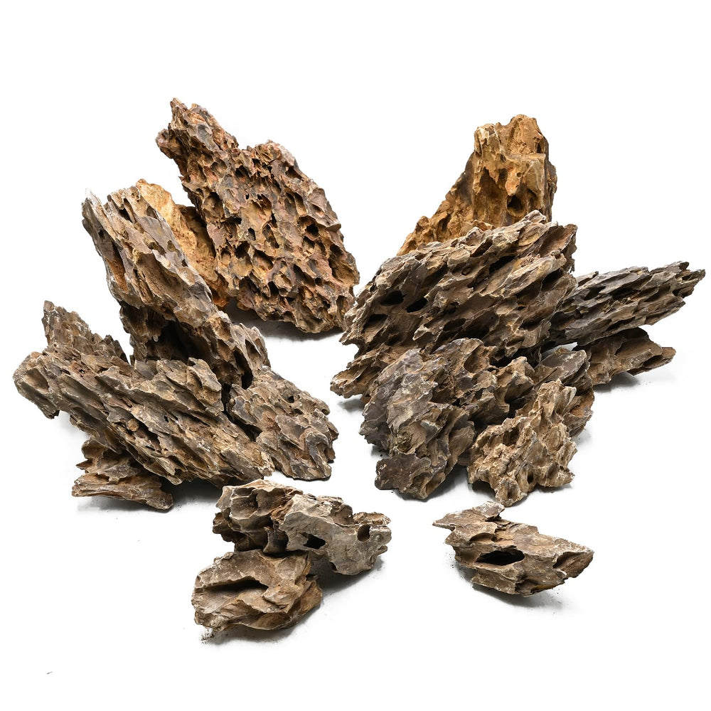 Piedras Unocho dragón Seiryu, regalo perfecto para afición a acuarios y terrarios.