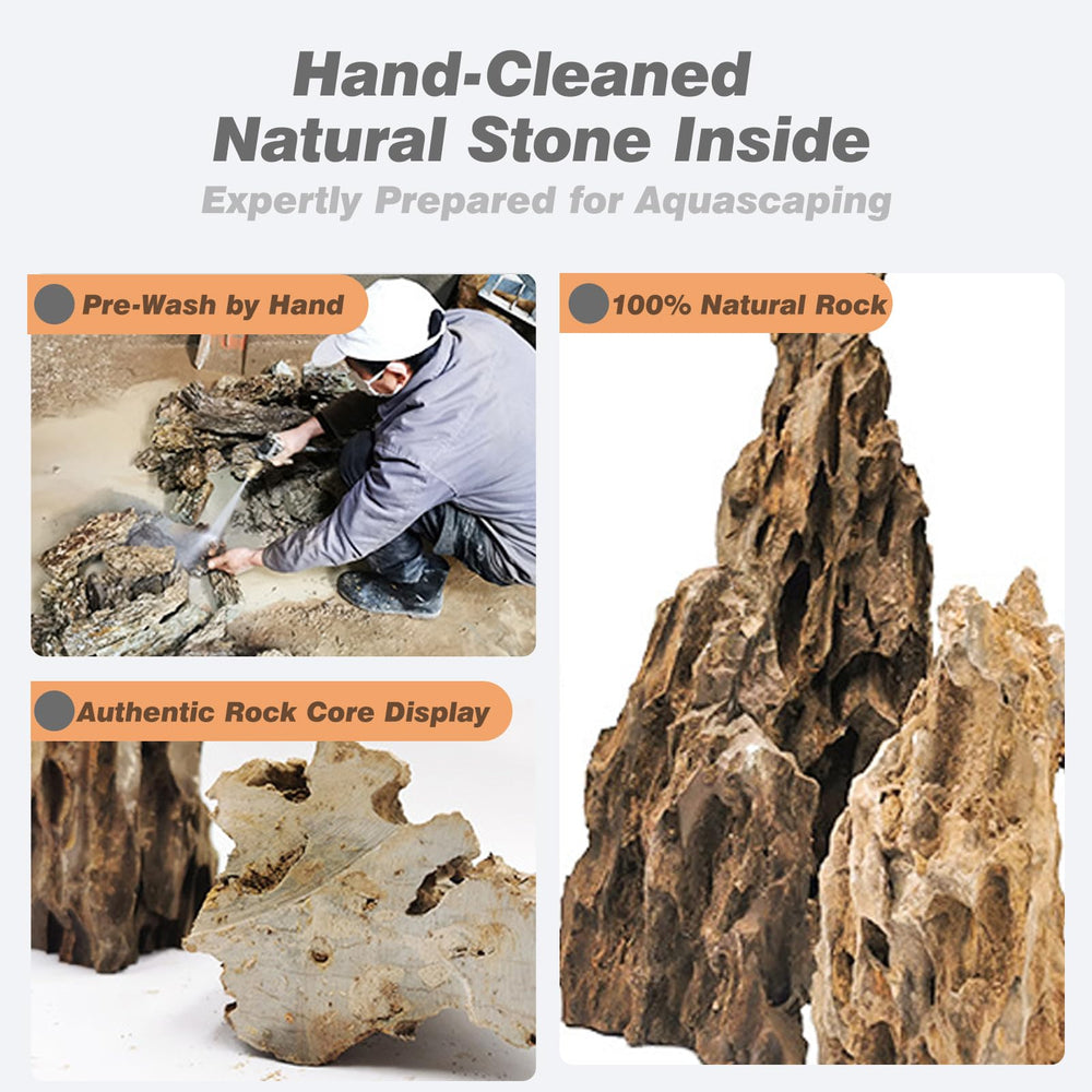 Rocas Unocho para paludarios; soporte estructural y hábitat.