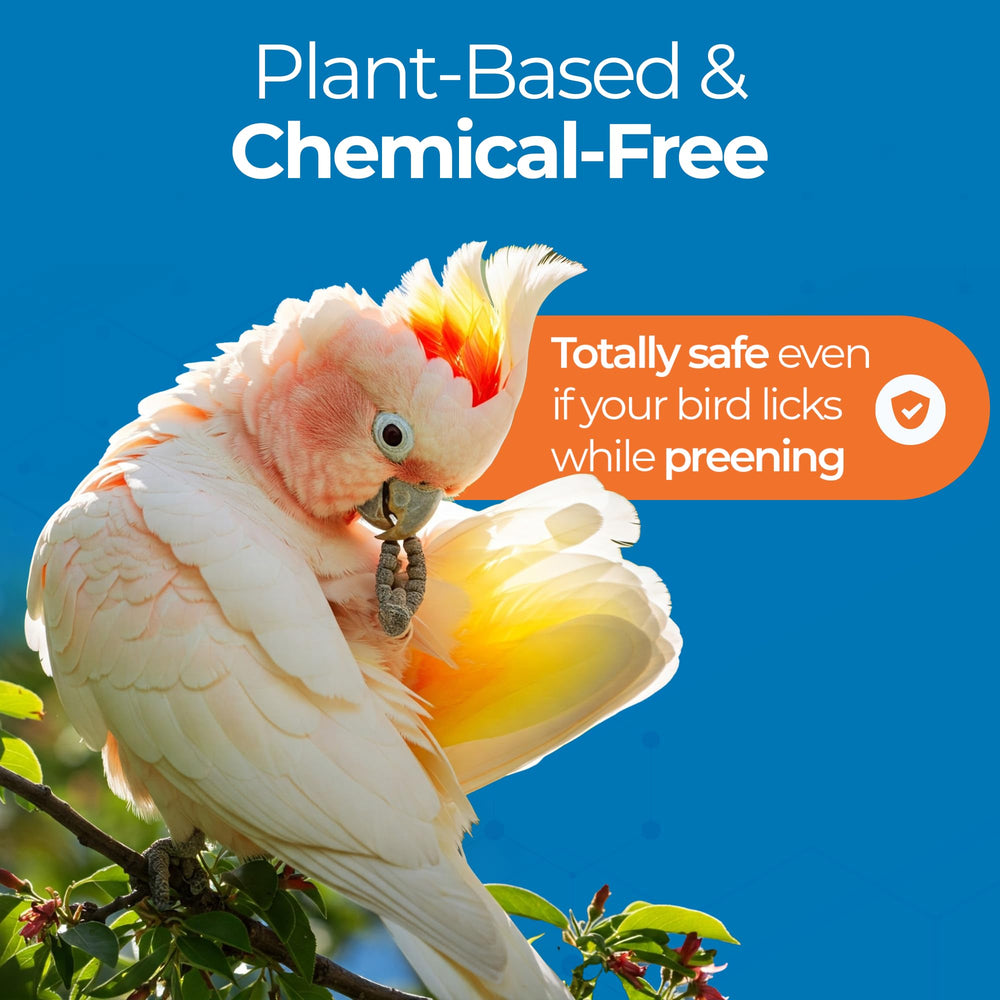 Ingredientes naturales de UnRuffledRx Aloe Vera para aves.