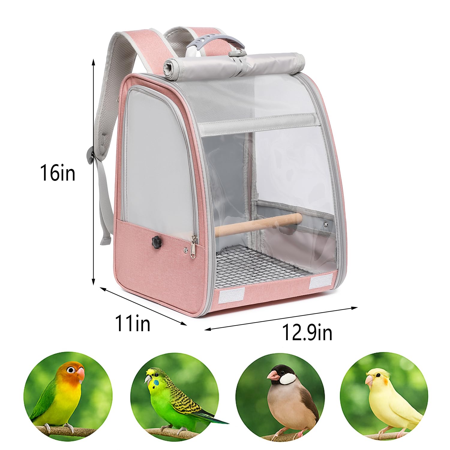 UOOPET diseño ligero y cómodo para viajar con tu ave