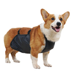 Chaleco impermeable UOSIA para corgi, vista frontal, protege la barriga y mantiene seco.