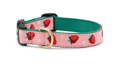Collar Up Country Strawberry Fields, vista frontal, ideal para paseos coloridos y cómodos