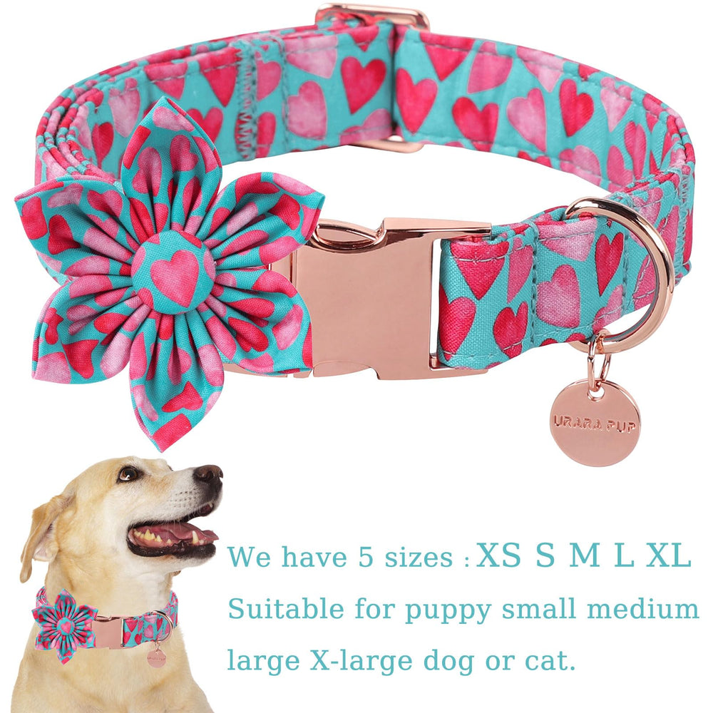 UP URARA PUP collar con anilla en D para identificación.
