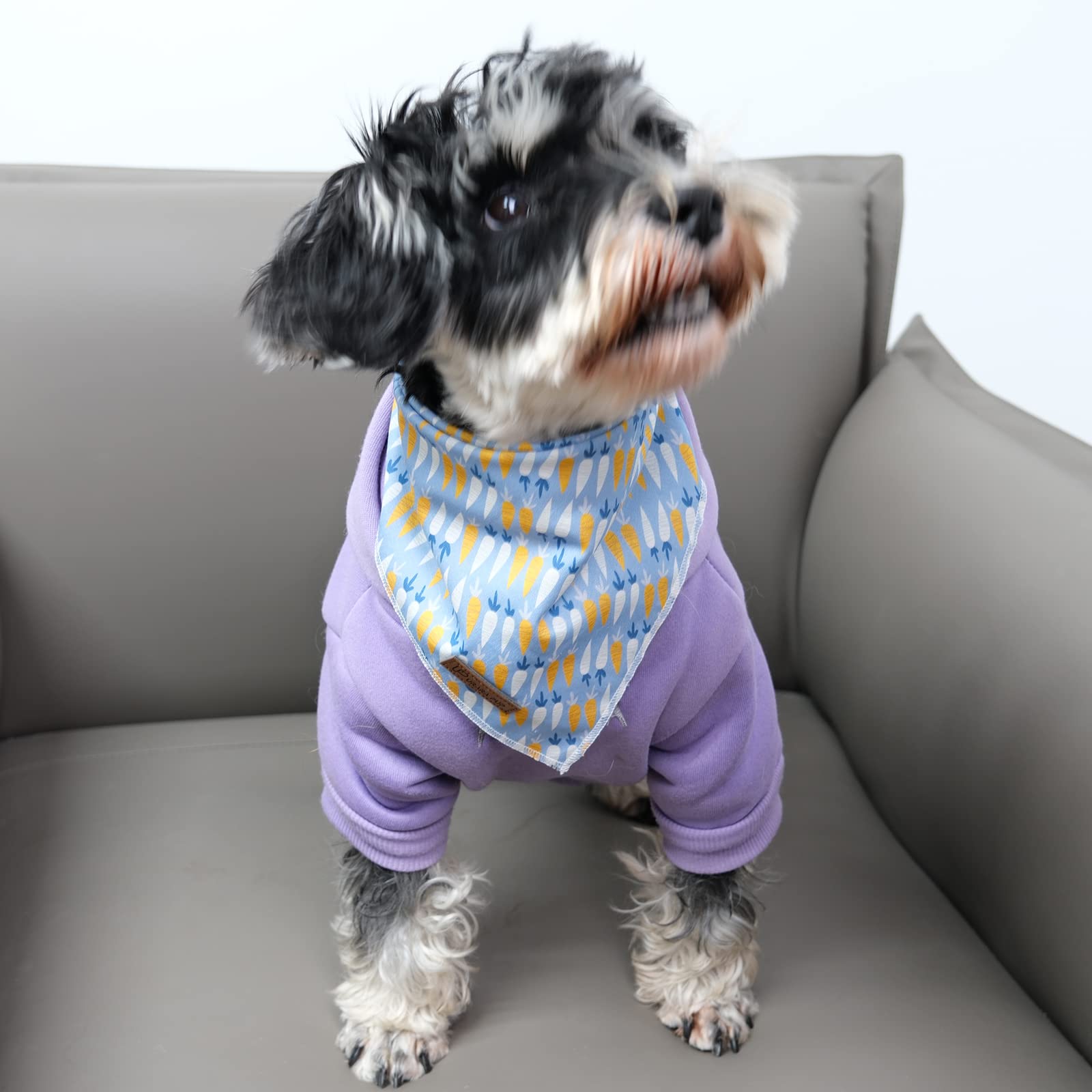 UP URARA PUP bandana Pascua doble capa, resistente para mascotas activas.