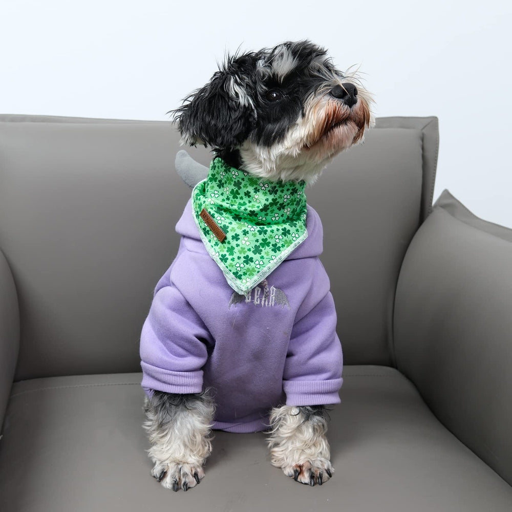 UP URARA PUP bandana para perros medianos y grandes, ideal para ocasiones.