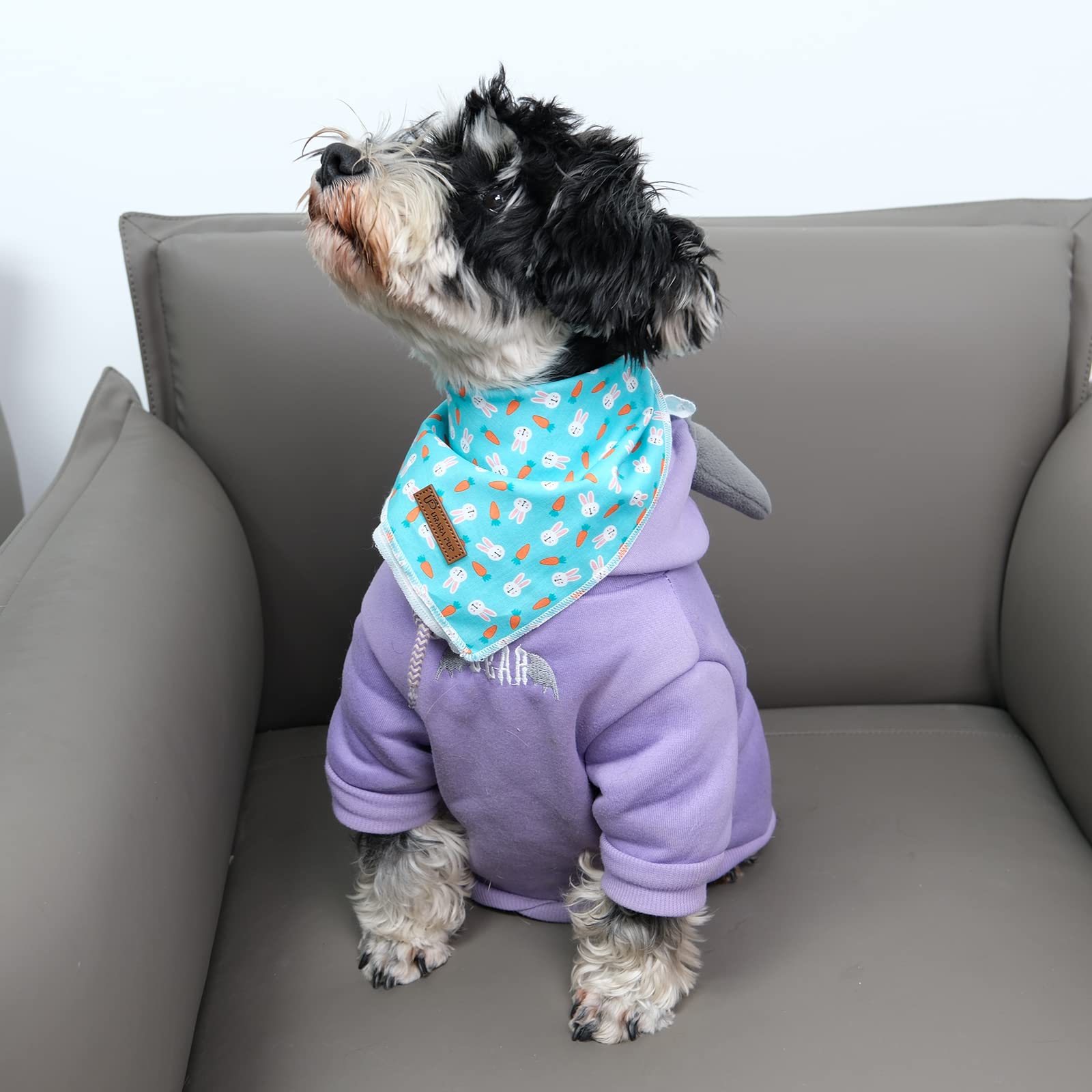 UP URARA PUP bandana para perro lavable a máquina en frío