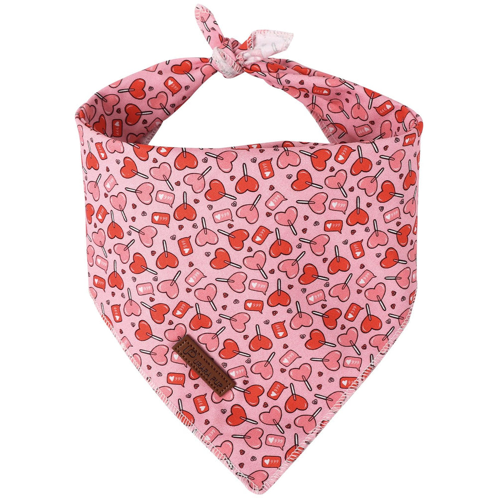 Bandana UP URARA PUP San Valentín con corazón rosa en primer plano para perros.