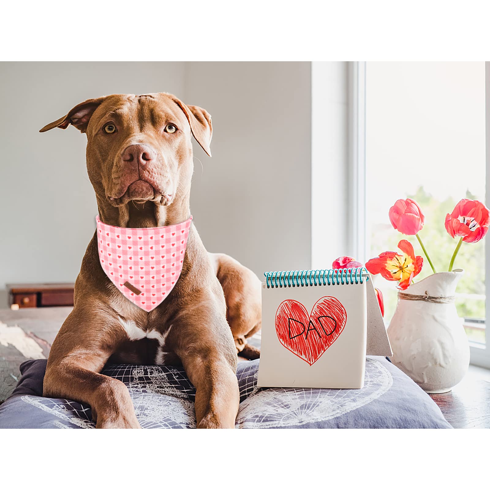 UP URARA PUP pañuelo talla media, adecuada para perros medianos.