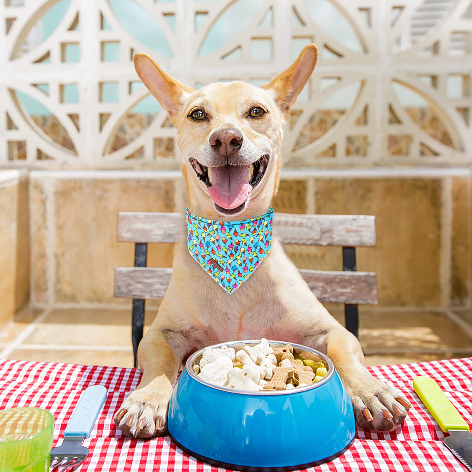 UP URARA PUP bandana con patrón hawaiano, destaca la personalidad de tu perro en eventos.