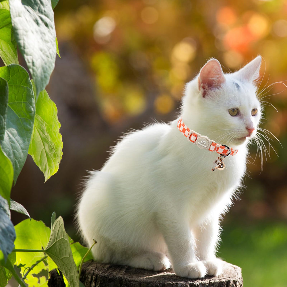 UP URARA PUP collar para gatos, fácil de colocar y quitar.