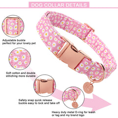 UP URARA PUP collar ajustable, talla cómoda para perros