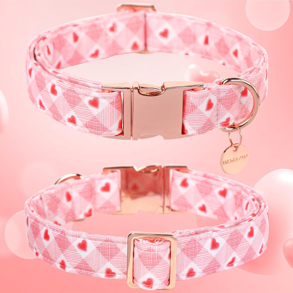 Collar UP URARA PUP ajustable, fácil de ajustar y usar.