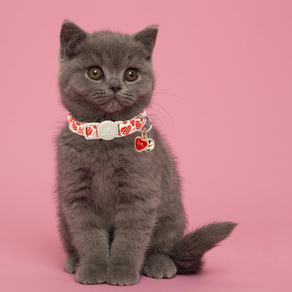 Collar UP URARA PUP ajustable 20-30 cm para varios cuellos felinos.