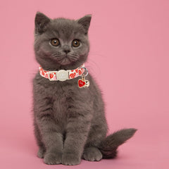 Collar UP URARA PUP ajustable 20-30 cm para varios cuellos felinos.