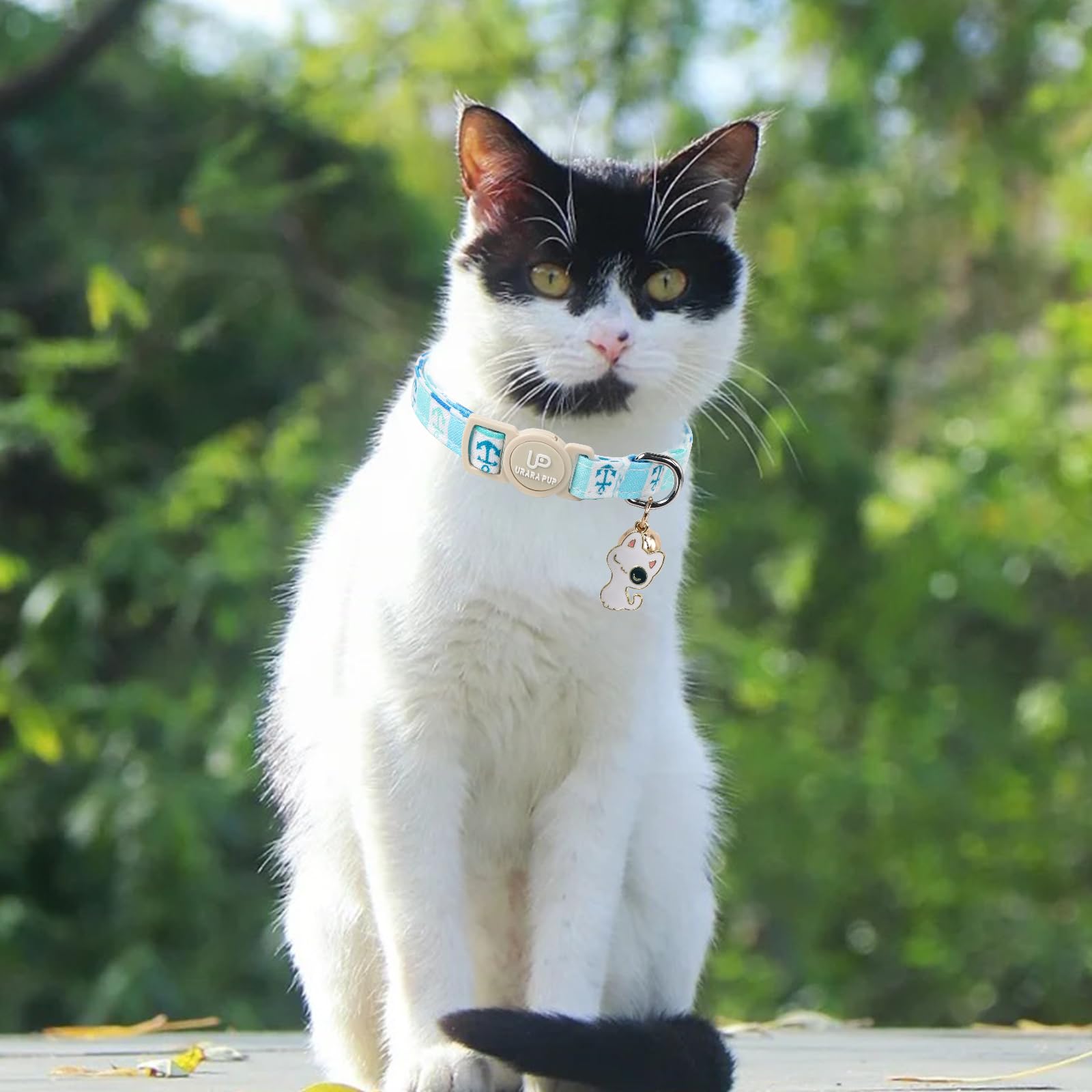 Collar UP URARA PUP con ajuste de 7.87 a 11.8 pulgadas.
