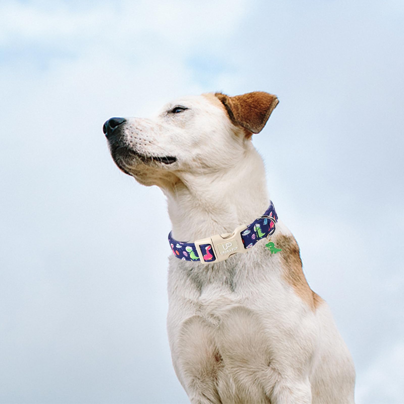 UP URARA PUP collar-ajuste-tallas-pequenos-medianos ofrece ajuste cómodo para perros pequeños y medianos.