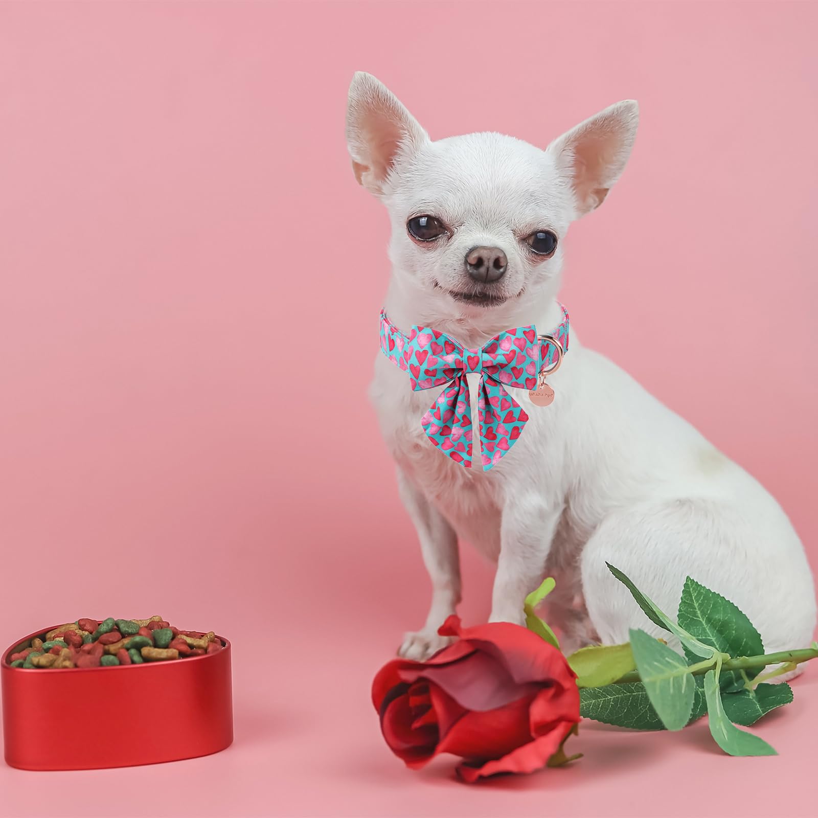 UP URARA PUP collar ajustable, talla M, cuello 34-55 cm.