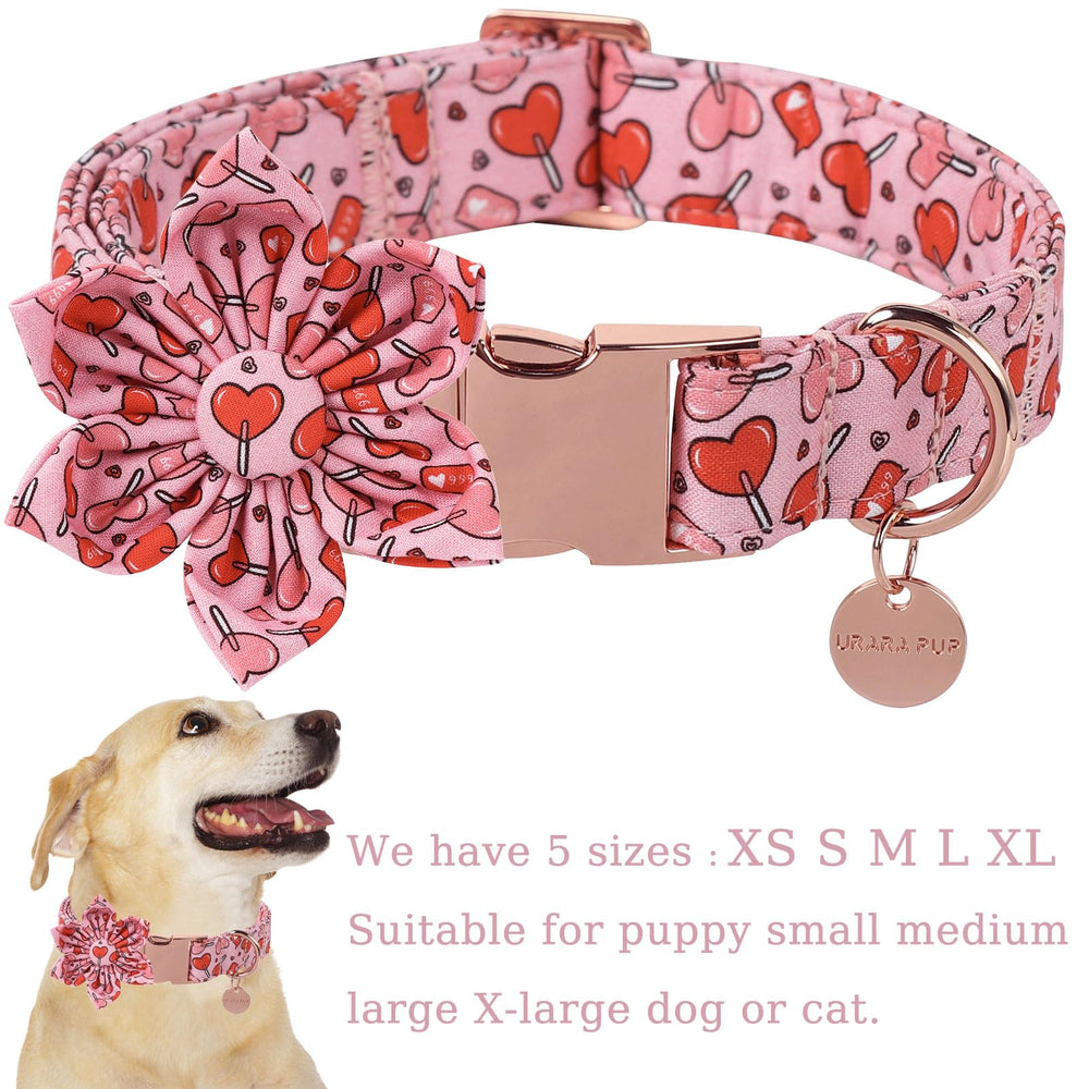 UP URARA PUP collar con hebilla de metal duradera para mayor seguridad.
