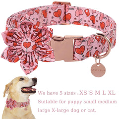UP URARA PUP collar con hebilla de metal duradera para mayor seguridad.