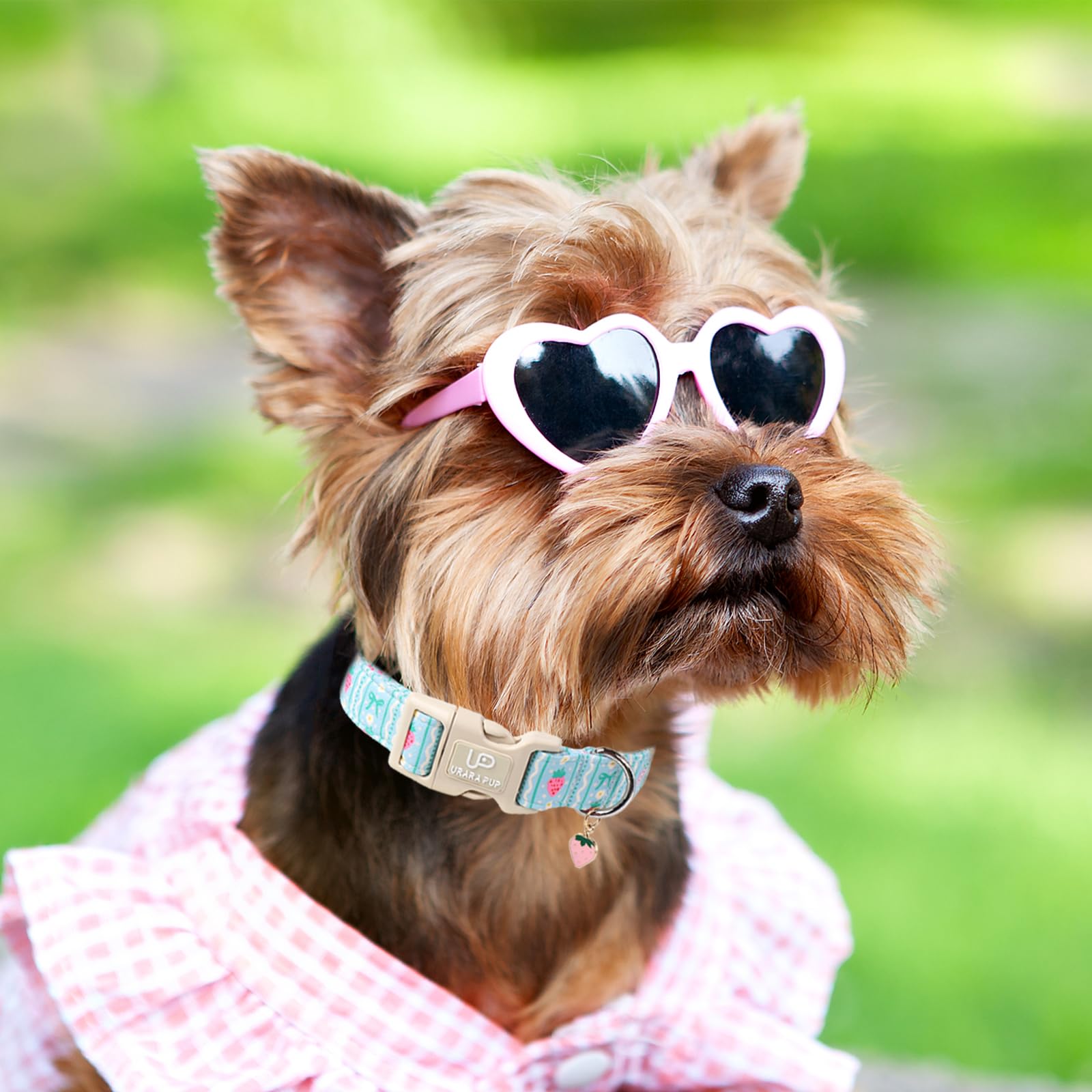 UP URARA PUP collar algodon suave, comodidad durante caminatas de verano.