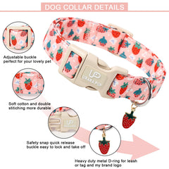 UP URARA PUP collar con anilla en D metálica para sujeción segura.