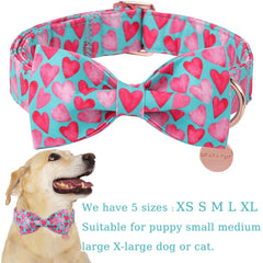 UP URARA PUP collar con aro en D para etiqueta e identificación.