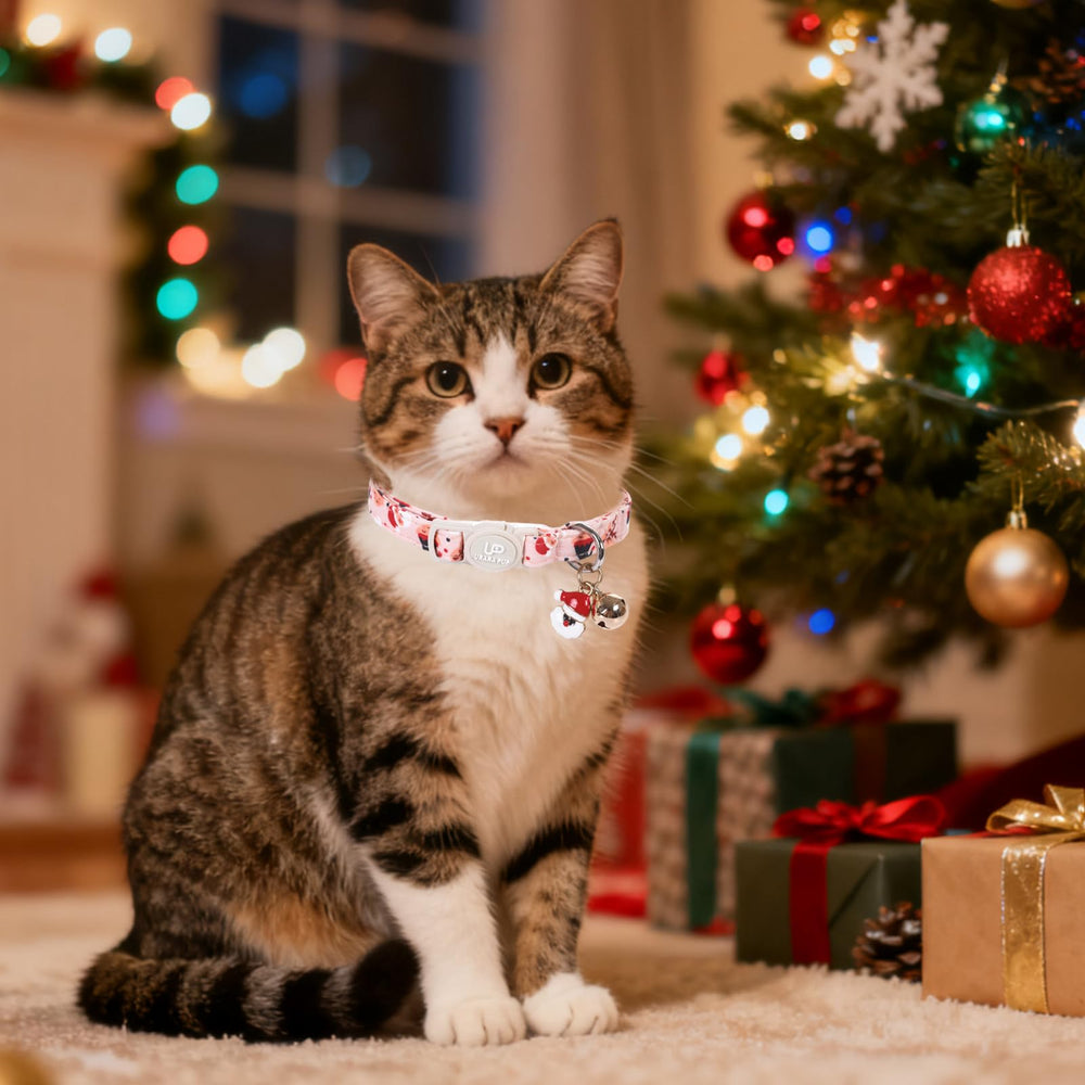 UP URARA PUP collar con campana de seguridad, ayuda a localizar a tu gato