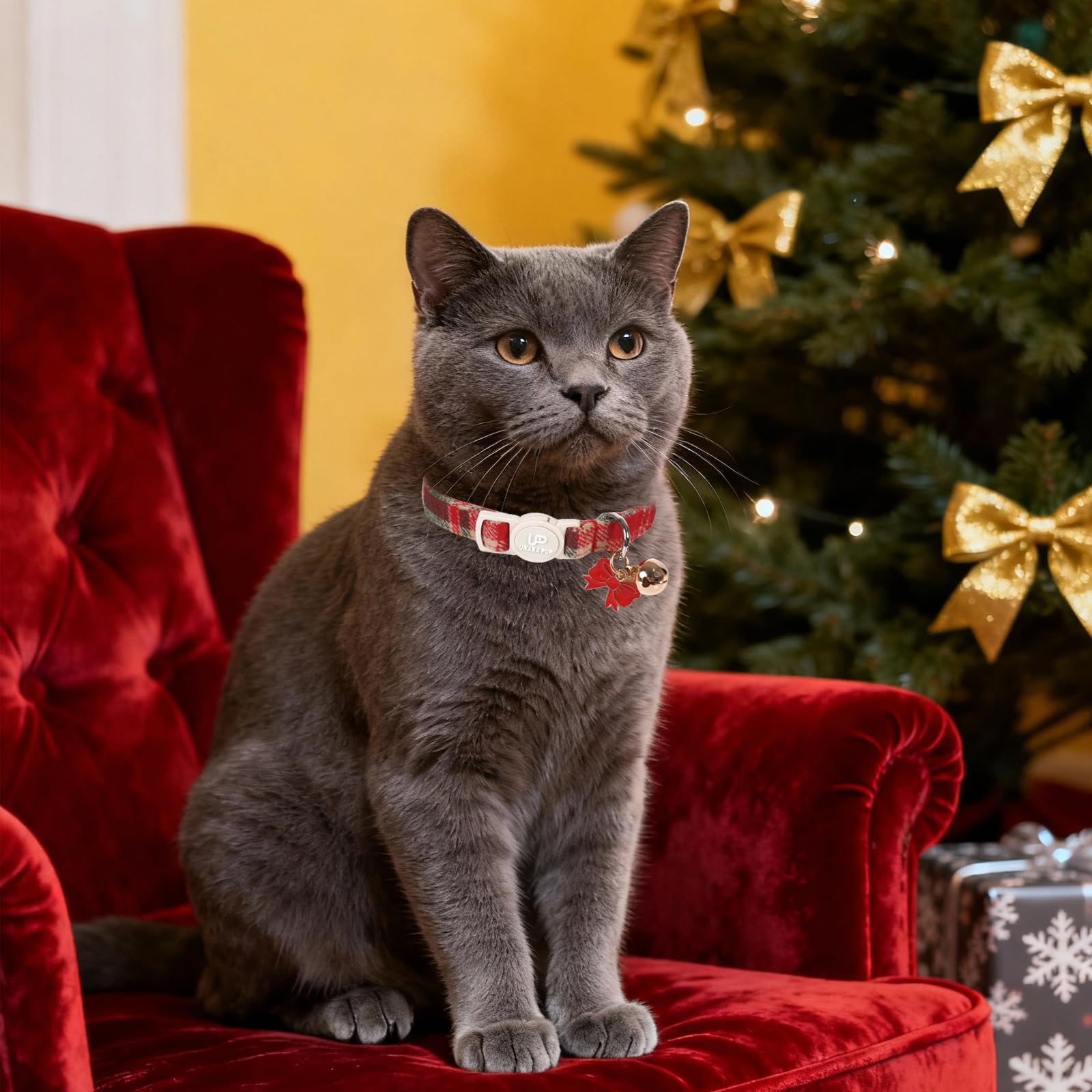 UP URARA PUP collar con campana, facilita localizar al gato.